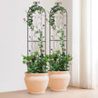 VEVOR 2 Packs Metal Garden Trellis for Climbing Plant Support 60x15 in Rustproof