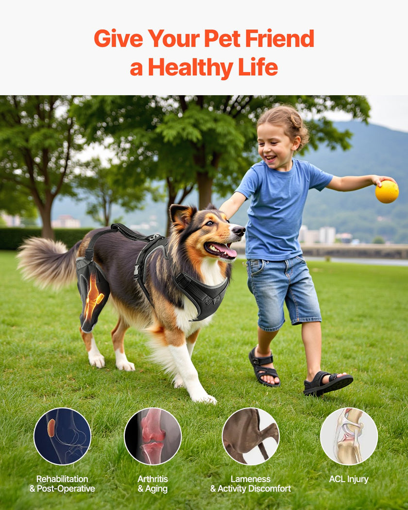 VEVOR Dog Knee Brace for Right Hind Leg Adjustable ACL Dog Leg Brace Pain Relief