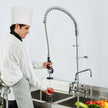 VEVOR Commercial Faucet with Pre-Rinse Sprayer, 44