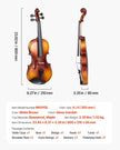 VEVOR Violin 4/4 Size Fiddle Set for Adult Beginners with Case Rosin Brown