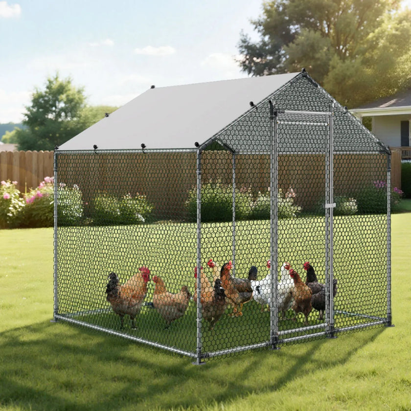 VEVOR Metal Chicken Coop 6.56x6.56x6.56ft Walk-in Chicken Run with Cover Spire Roof