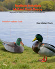 VEVOR Duck Decoy Outdoor Teal Decoys Realistic Plastic Floating Duck for Hunting