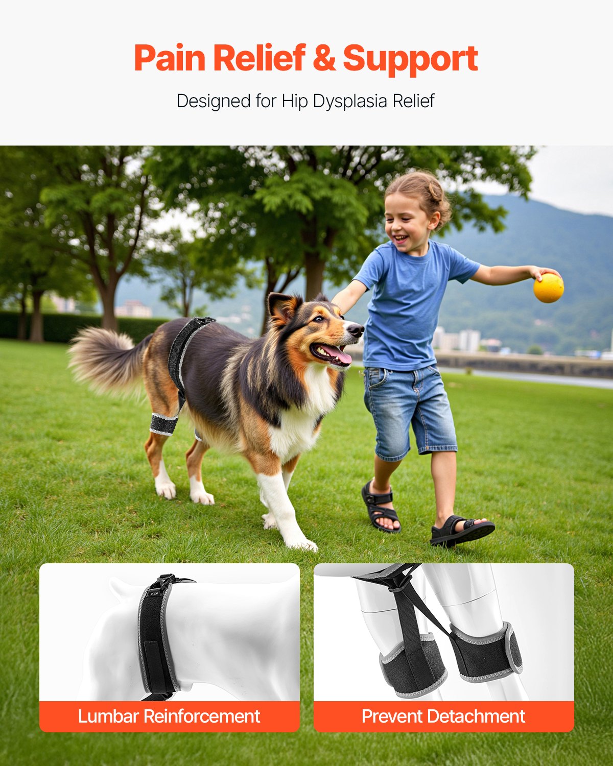 VEVOR Dog Hip Support Brace Pet Hip Dysplasia Brace Harness Joint Pain Relief