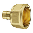 VEVOR Pipe Fittings 1/2