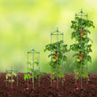 VEVOR 4 Packs Tomato Cages for Garden 63