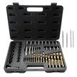VEVOR 48-Piece Bolt Extractor Screw Extractor Set, with 13 PCS Bolt Extractor Set, 19 PCS Screw Extractors, 16 PCS Reverse HSS Drill Bits, Storage Case, for Removing Damaged Bolts, Screws, and Nuts