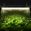 VEVOR LED Grow Light, 300W Full Spectrum Dimmable, High Yield Samsung 2B1B Diodes Growing Lamp for Indoor Plants Seedling Veg and Bloom Greenhouse Growing, Daisy Chain Driver for 3x3/4x4 ft Grow Tent