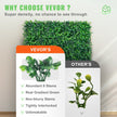 VEVOR Artificial Boxwood Panel UV 12pcs Boxwood Hedge Wall Panels Artificial Grass Backdrop Wall 20X20