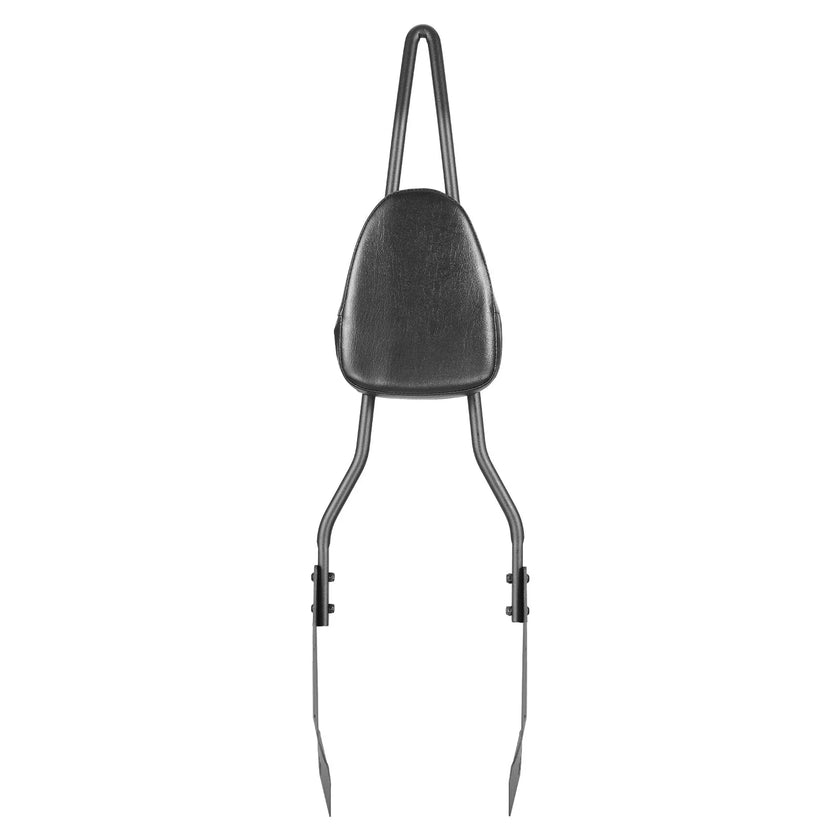 VEVOR Motorcycle Backrest Sissy Bar for Harley-Davidson Touring Models 2006-2017