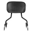 VEVOR Motorcycle Backrest Sissy Bar for Harley-Davidson Touring Models 2009-2024