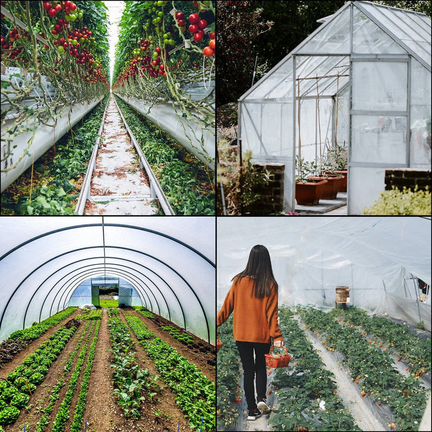 VEVOR Greenhouse Film 16 x 25 ft, Greenhouse Polyethylene Film 6 Mil Thickness, Greenhouse Plastic Clear Plastic Film UV Resistant, Polyethylene Film Keep Warming, Superior Strength Toughness
