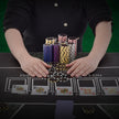 VEVOR Poker Chip Set, 300-Piece Poker Set, Complete Poker Playing Game Set with Carrying  Case, Heavyweight 14 Gram Casino Clay Chips, Cards, Buttons and Dices, for Texas Hold'em, Blackjack, Gambling