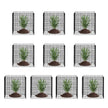 VEVOR 10 Pack Plant Protector from Animals 12'' x 12'' Plant Cage for Vegetables