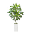 5FT Artificial Dracaena Tree with White Tall Planter – Realistic Faux Tropical Floor Plant for Home & Office