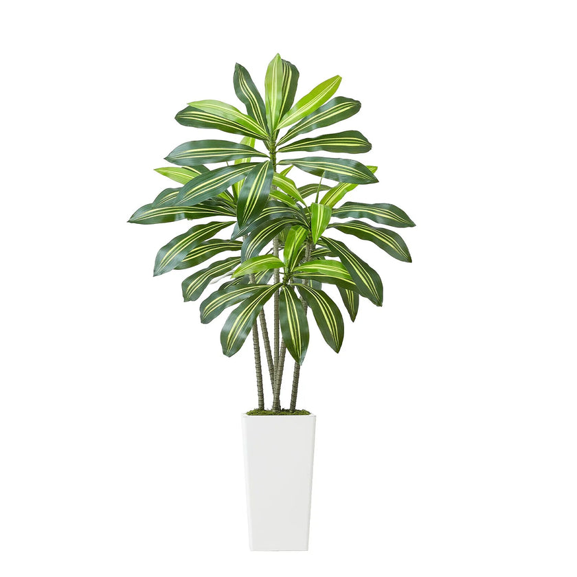 5FT Artificial Dracaena Tree with White Tall Planter – Realistic Faux Tropical Floor Plant for Home & Office