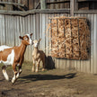 VEVOR Livestock Hay Feeder 24 Gallons Wall Mounted Goat Hay Rack for Horses