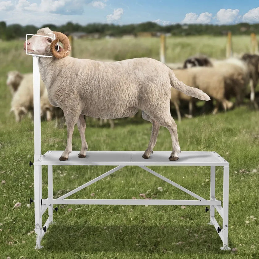 VEVOR Goat & Sheep Stand, 51x23 inch Livestock Stand, Metal Livestock Milking and Shearing Stand 21