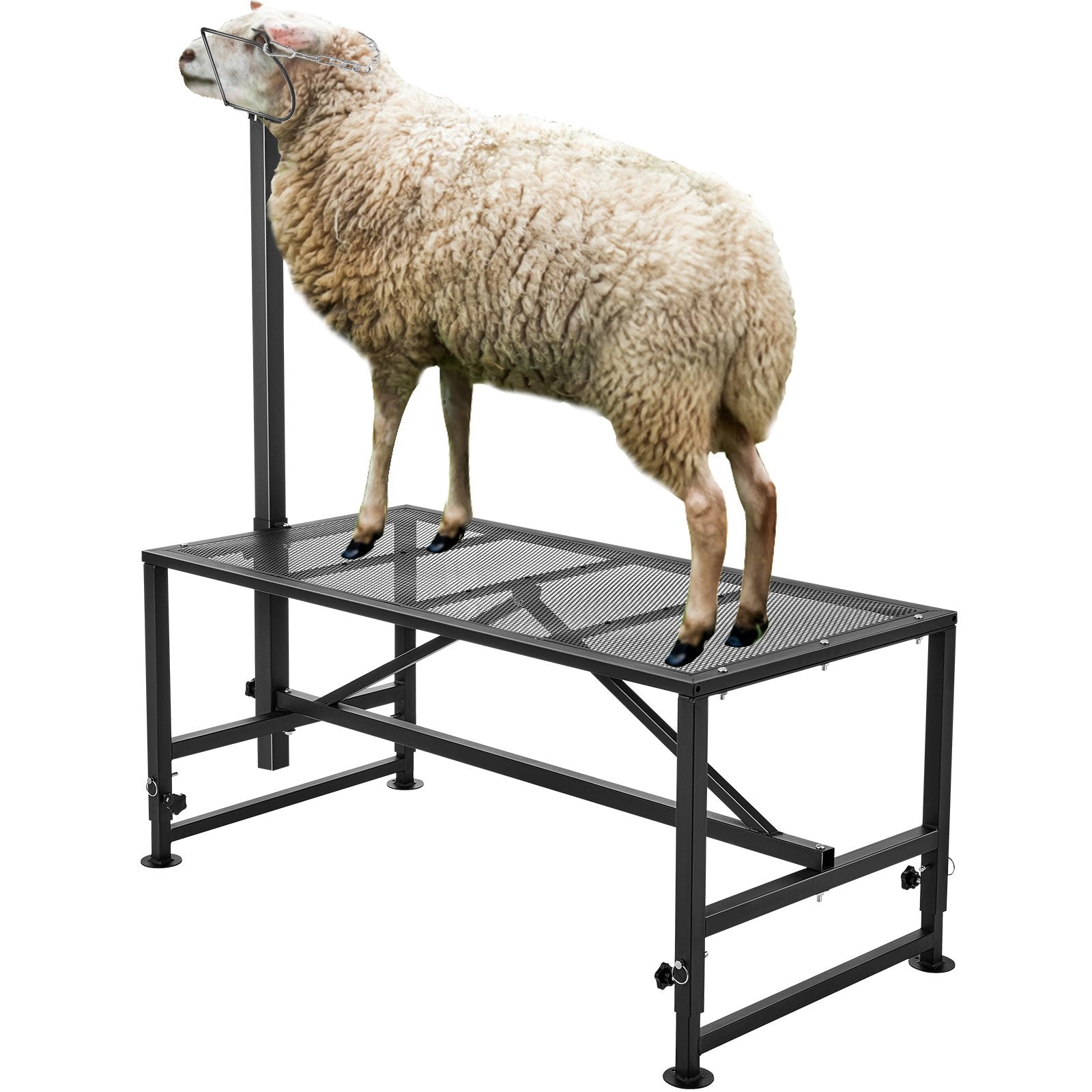 VEVOR Goat & Sheep Stand, 47x23 inch Livestock Stand, Metal Livestock Milking and Shearing Stand 21