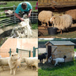 VEVOR Livestock Stand, 9.8