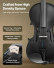 VEVOR Violin 4/4 Size Fiddle Set Solidwood for Beginners with Case Rosin Black