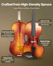 VEVOR Violin 4/4 Size Fiddle Set Solidwood for Beginners Glossy Brown Patterned