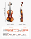 VEVOR Violin 4/4 Size Fiddle Set Solidwood for Beginners Glossy Brown Patterned