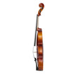 VEVOR Violin 4/4 Size Fiddle Set Solidwood for Beginners Glossy Brown Patterned