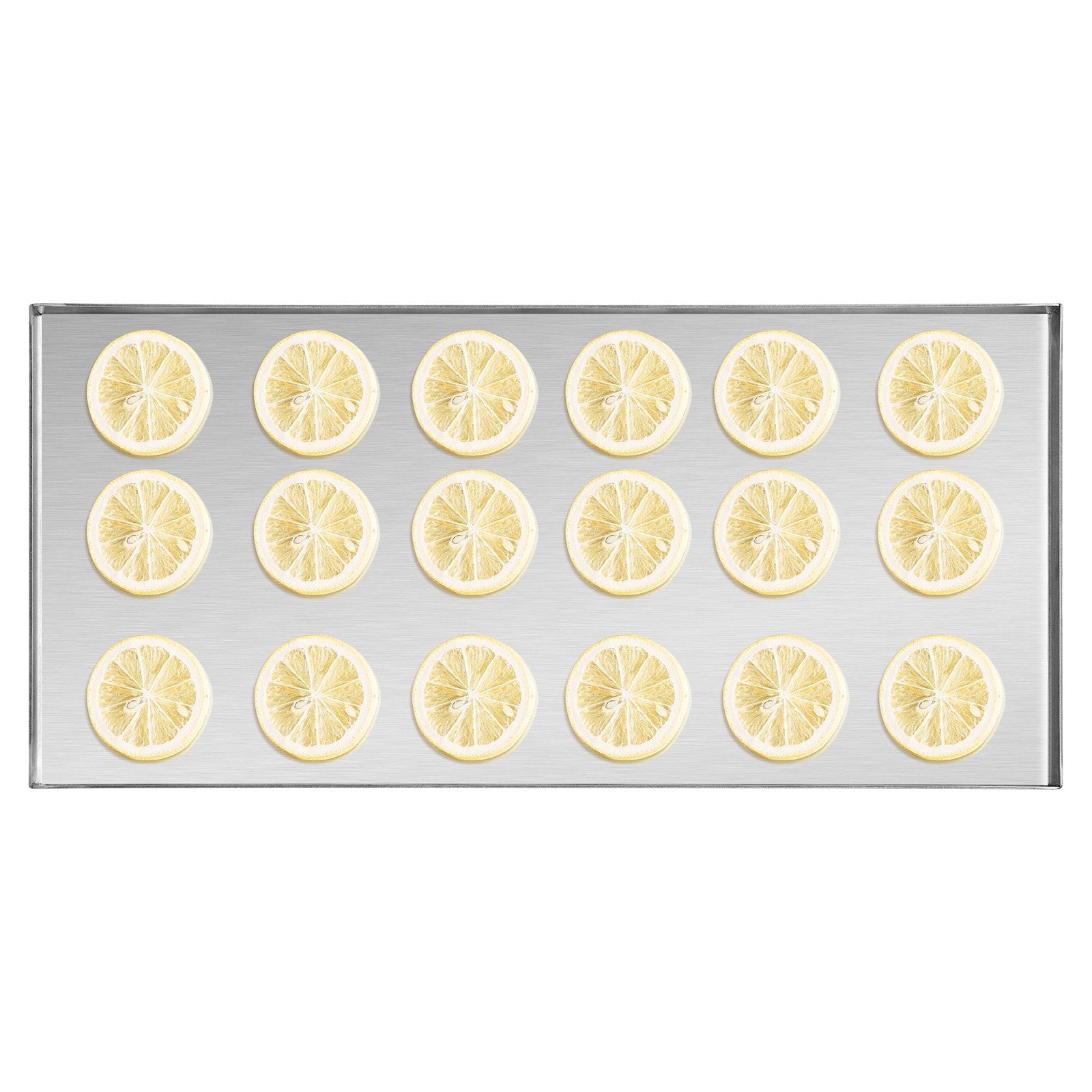 VEVOR Vacuum Freeze Dryer 4-Layer Fruit Vegetable Freeze Drying Machine White