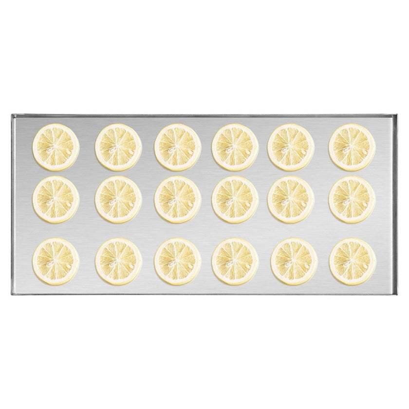 VEVOR Vacuum Freeze Dryer 4-Layer Fruit Vegetable Freeze Drying Machine White