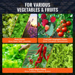VEVOR DWC Hydroponics Grow System Deep Water Culture with Top Drip 4 Buckets