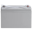 VEVOR Deep Cycle Battery, 12V 100 AH, AGM Marine Rechargeable Battery, High Self-Discharge Rate 800A Current, for RV Solar Marine Off-Grid Applications UPS Backup Power System, Tested to UL Standards