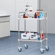 VEVOR Lab Rolling Cart, 2-Shelf Stainless Steel Rolling Cart, Lab Serving Cart with Swivel Casters, Dental Utility Cart for Clinic, Lab,  Hospital, Salon, 15.16