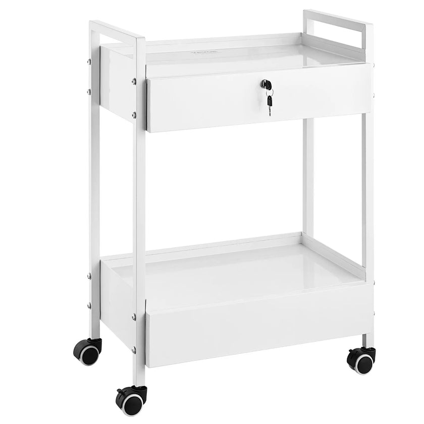 VEVOR Trolley Cart Dental Lab Trolley Steel Mobile Rolling Serving Cart 2 Tiers
