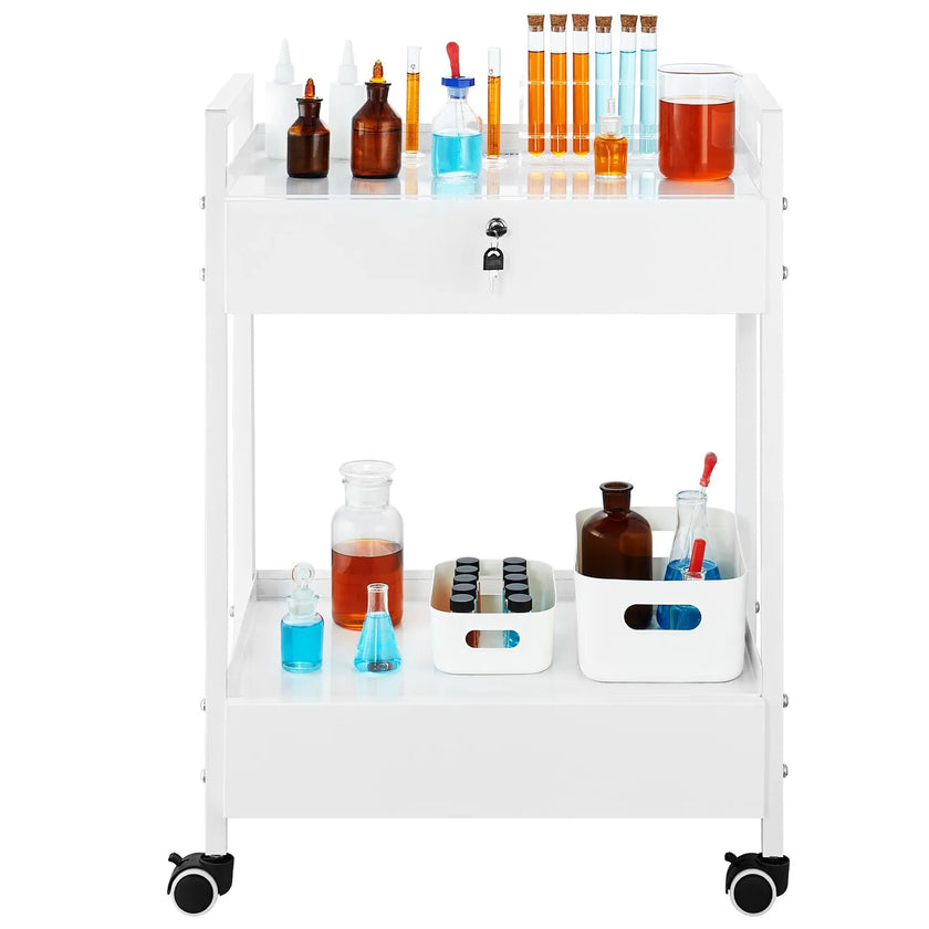 VEVOR Trolley Cart Dental Lab Trolley Steel Mobile Rolling Serving Cart 2 Tiers