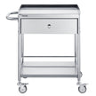 VEVOR Medical Cart, 2-Layer Stainless Steel Cart 220 lbs Weight Capacity, Lab Utility Cart with 360° Silent Wheels and a Drawer for Lab, Clinic, Kitchen, Salon