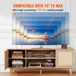 VEVOR Rattan TV Stand for 75