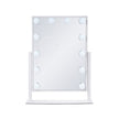 VEVOR Hollywood Vanity Makeup Mirror With Lights 5X Magnification 16.1x11.8 in