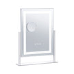 VEVOR Lighted Makeup Mirror 3 Color Vanity with 5X Magnification 16.1x11.8 in
