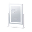 VEVOR Lighted Makeup Mirror 3 Color Vanity with 5X Magnification 16.1x11.8 in