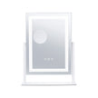 VEVOR Lighted Makeup Mirror 3 Color Vanity with 5X Magnification 16.1x11.8 in