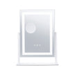 VEVOR Lighted Makeup Mirror 3 Color Vanity with 5X Magnification 16.1x11.8 in