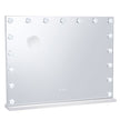 VEVOR Hollywood Vanity Mirror With Lights w/ USB Type C Desktop Wallmount 23.6in