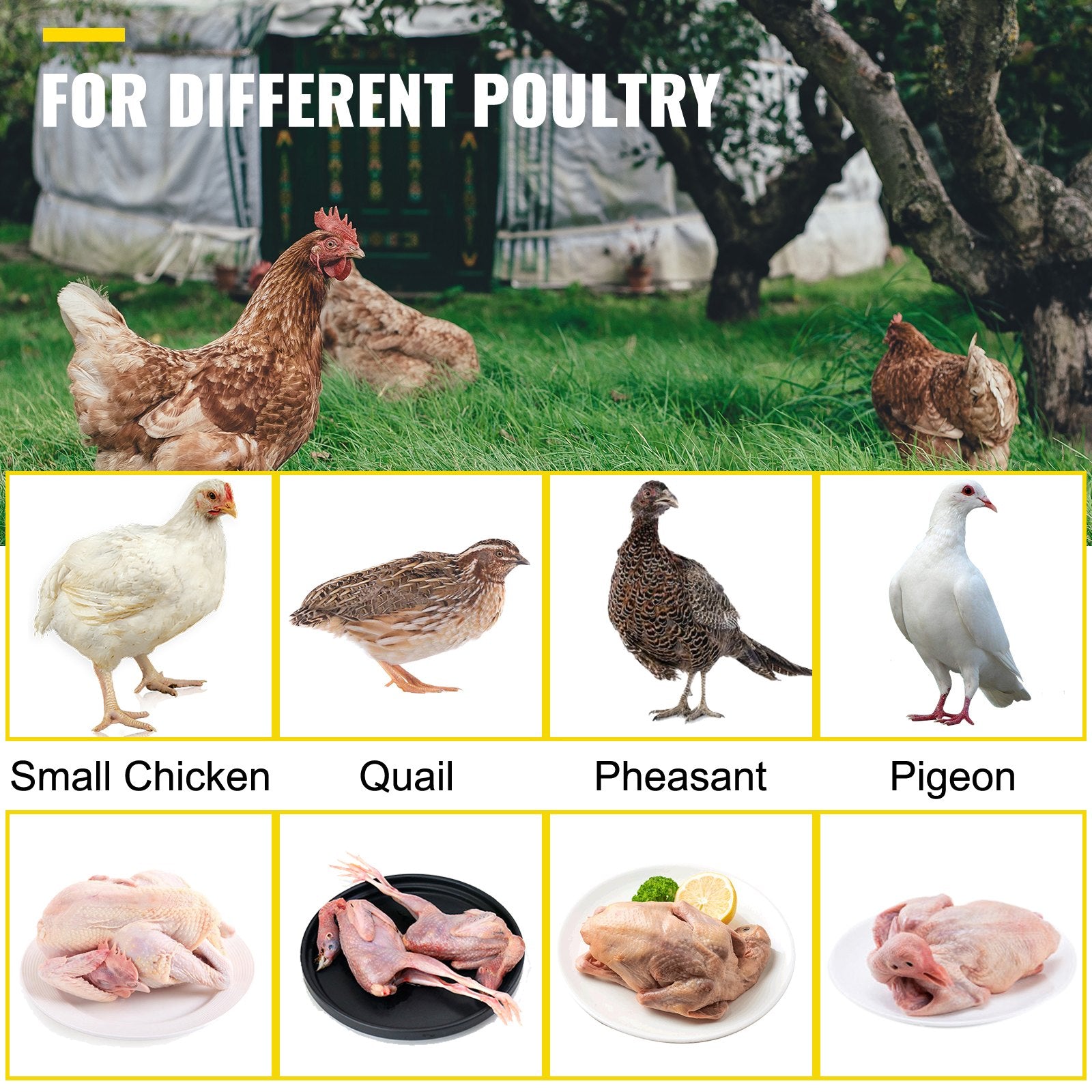 VEVOR Chicken Plucker Drill Attachment, Stainless Steel Drill Chicken Plucker, 18 Fingers Chicken Feather Plucker Machine, 0.4 Inches Shank Poultry Defeathering Machine For Small Chicken Quail Pigeon