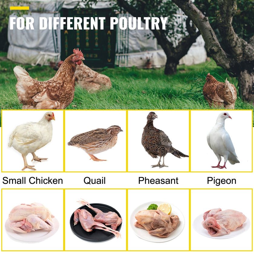 VEVOR Chicken Plucker Drill Attachment, Stainless Steel Drill Chicken Plucker, 18 Fingers Chicken Feather Plucker Machine, 0.4 Inches Shank Poultry Defeathering Machine For Small Chicken Quail Pigeon