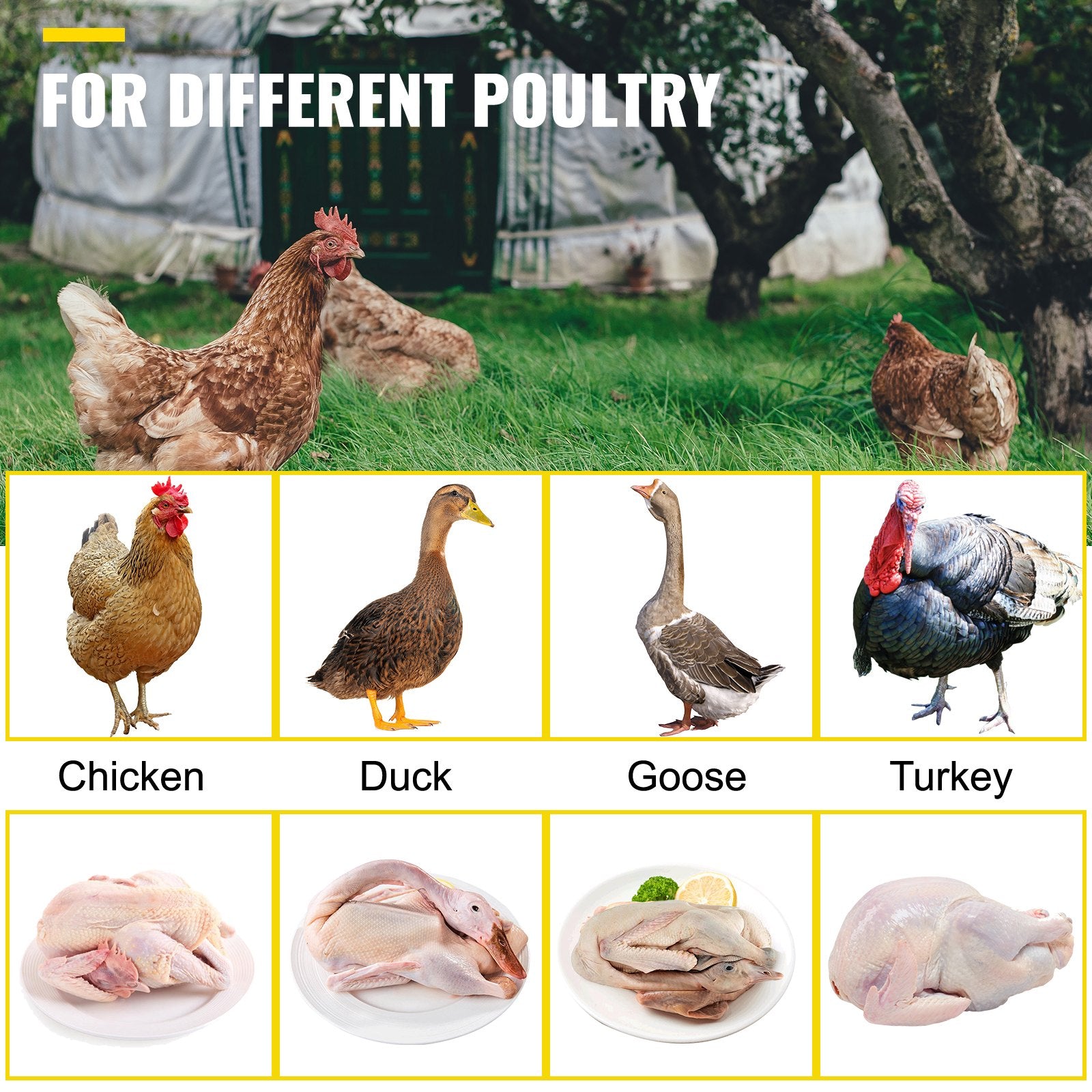 VEVOR Chicken Plucker Drill Attachment, Stainless Steel Drill Chicken Plucker, 24 Fingers Chicken Feather Plucker Machine, 0.4 Inches Shank Poultry Defeathering Machine for Broiler Goose Duck Turkey