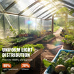 VEVOR Greenhouse Plastic Sheeting 25 x 25 ft, 6 Mil Thickness Clear Greenhouse Film, Polyethylene Film 4 Year UV Resistant, for Gardening, Farming, Agriculture, Garden