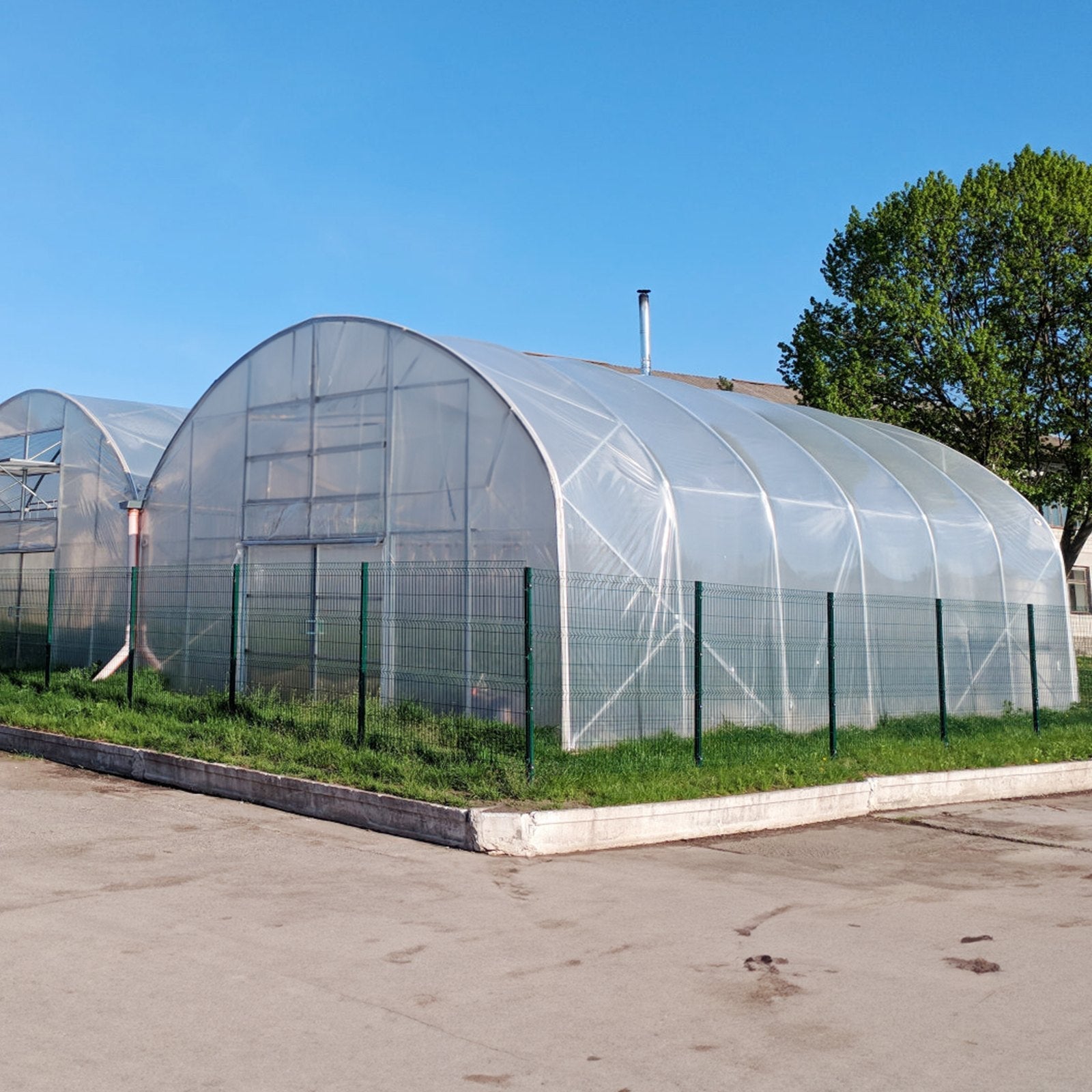 VEVOR Greenhouse Plastic Sheeting 25 x 25 ft, 6 Mil Thickness Clear Greenhouse Film, Polyethylene Film 4 Year UV Resistant, for Gardening, Farming, Agriculture, Garden