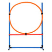VEVOR Dog Agility Training Equipment 4 PCS Set Hurdles and Jump Ring Obstacle