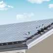 VEVOR 8 inch x 100ft Solar Panel Bird Guard, Critter Guard Roll Kit with 100pcs Stainless Steel Fasteners, Solar Panel Guard with Rust-proof PVC Coating, 1/2 inch Wire Roll Mesh