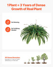 VEVOR Artificial Boston Fern Large Plastic Fern 80 Branches Indoor Outdoor Decor